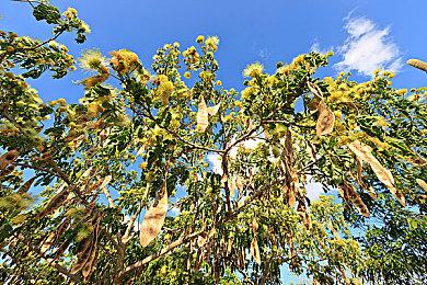 《装甲核心6》首批细节疑似曝光 宫崎英高的科幻世界