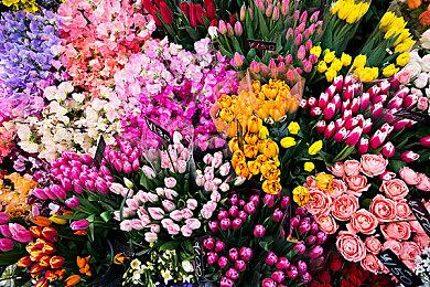 锐龙5 7500F国内发售 游戏性能超i5 13400